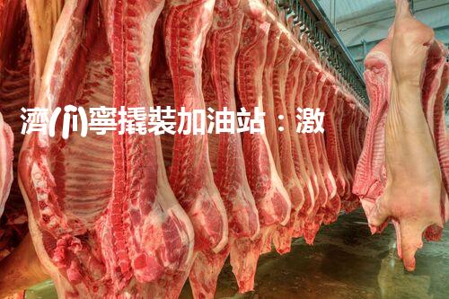 濟(jì)寧撬裝加油站：激發(fā)您對(duì)化工廠拆除技術(shù)的獵奇心！